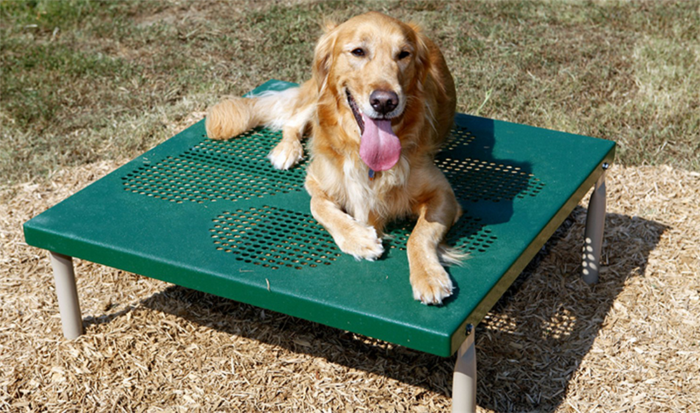 Dog Table for Dog Parks